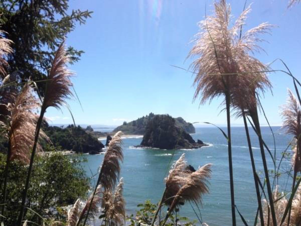 Trinidad Bay Bed And Breakfast Hotel Bagian luar foto